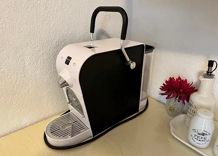 Pensión Gaestehaus Genf 3*